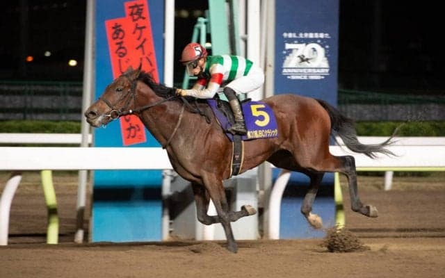 クリソベリルが競走馬登録抹消