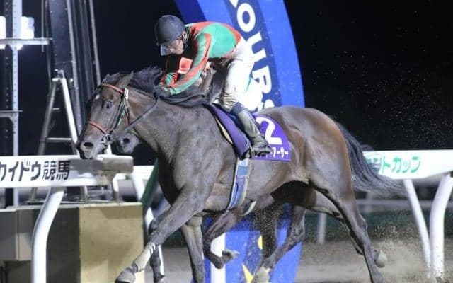 【門別競馬情報】地元ホッカイドウ勢「5連覇」なるか！実績No.1レディーアーサーら「強い門別2歳牝馬」に、前走ダートで一変JRAヒストリックノヴァら4頭が挑む「第24回エーデルワイス賞JpnIII」 /地方競馬情報