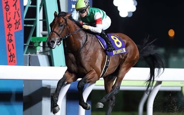 【JRA】クリソベリルが13日付で競走馬登録を抹消、GI級競走を4勝