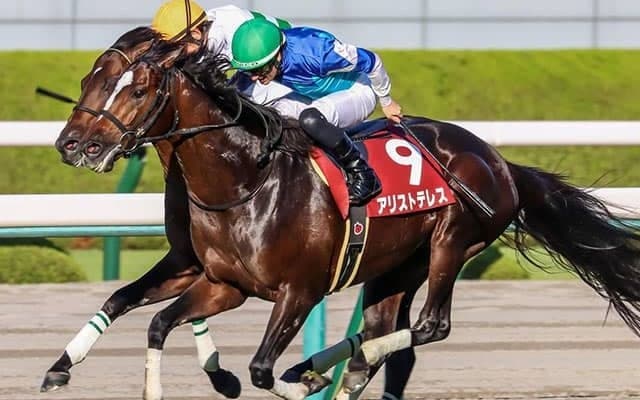 【次走】京都大賞典2着のアリストテレスはジャパンCを目標