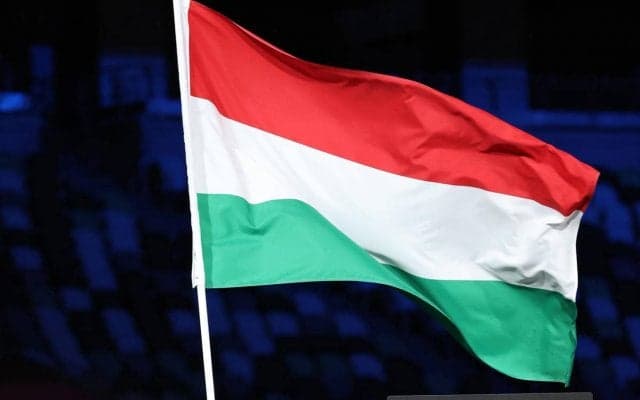 クリアのつもりが…U-21ハンガリー代表DF、見事なオウンゴールボレーを叩き込む