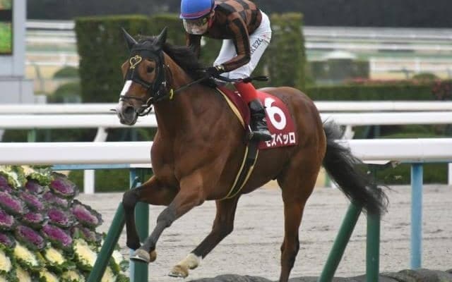 【次走】モズベッロは天皇賞秋に参戦