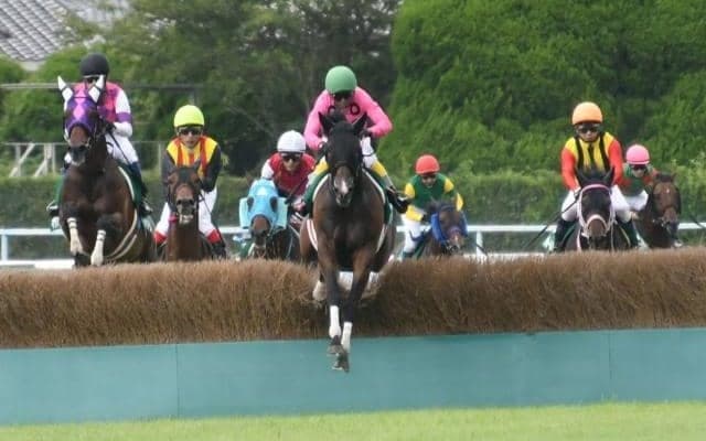 【東京ハイジャンプ出走馬・騎手確定】アサクサゲンキ＆熊沢重文騎手、オジュウチョウサン＆石神深一騎手など12頭