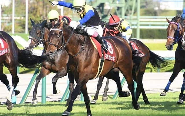 マカヒキが新記録樹立/島田明宏