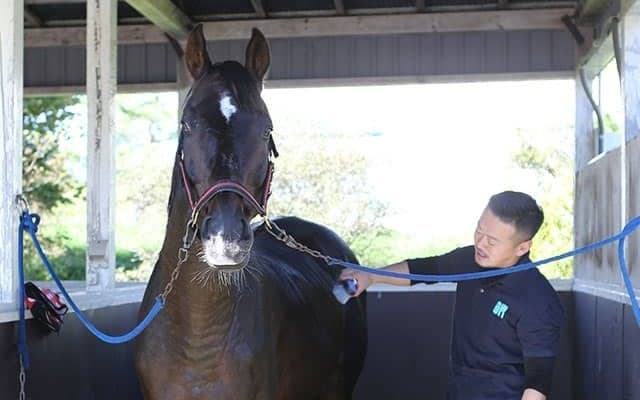 種牡馬の道が叶わずとも「絶対に処分などせずに余生をここで」　ディープインパクト全弟・オンファイアの再出発