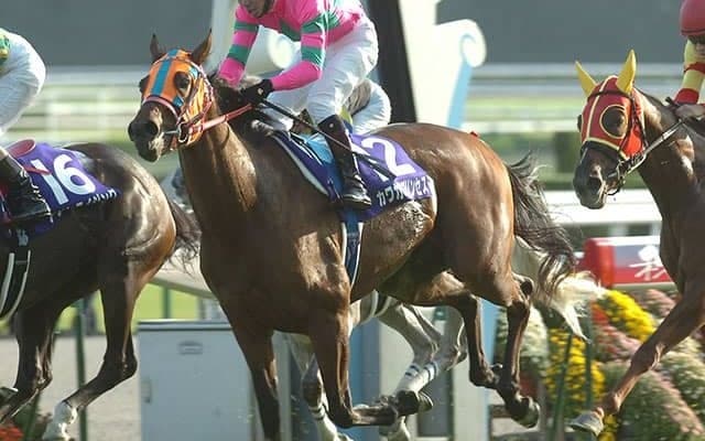 【ピックアップ】2006年秋華賞、無敗の2冠を達成したカワカミプリンセス