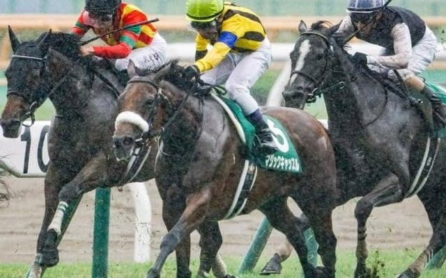 【府中牝馬S予想】やはり「格」は重視したい別定重量のGII戦