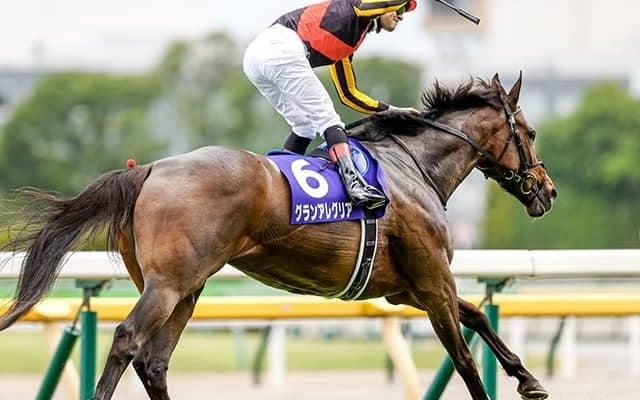 【天皇賞秋 想定】グランアレグリアはルメール騎手、ワールドプレミアは岩田康誠騎手