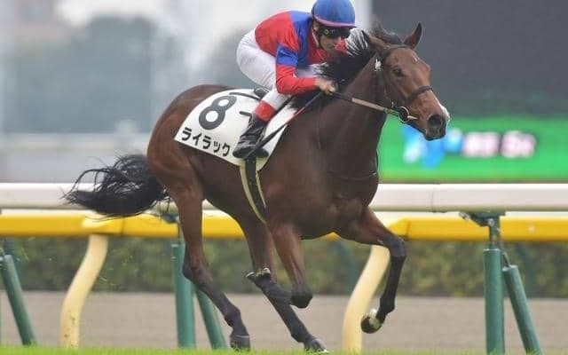 【東京5R新馬戦結果】オルフェーヴル産駒ライラックが押し切って完勝