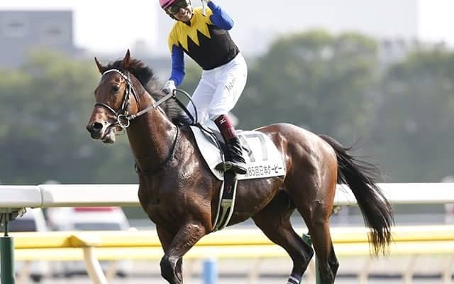 【富士S想定】ダノンザキッド、ラウダシオン、ワグネリアン…GI馬3頭が参戦