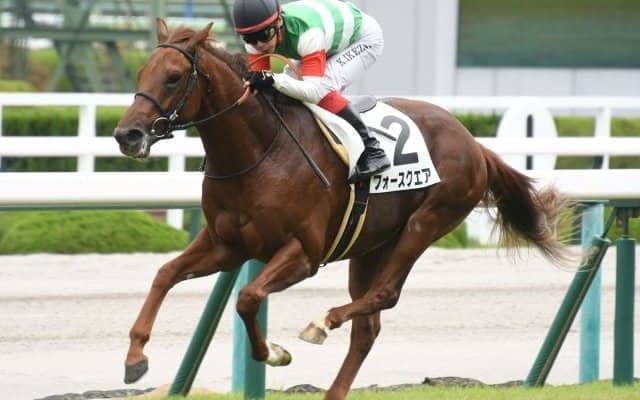 【阪神5R新馬戦結果】フォースクエアが内から抜け出して人気に応える