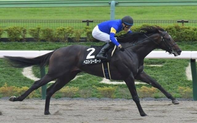 【プラタナス賞結果】8番人気ベストリーガードが逃げ切りV、3連単32万超えの波乱