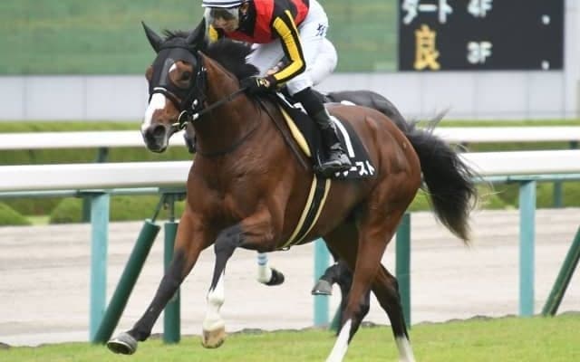 【紫菊賞結果】リブーストが馬なりで後続を突き放して無傷2連勝