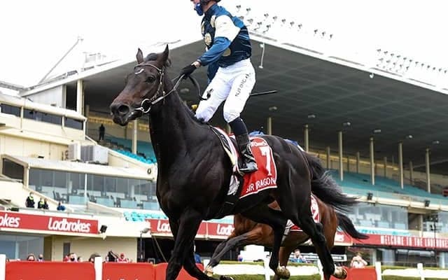 【海外競馬】ジャパンC登録のサードラゴネットが安楽死、昨年のコックスプレートなど豪G1・2勝