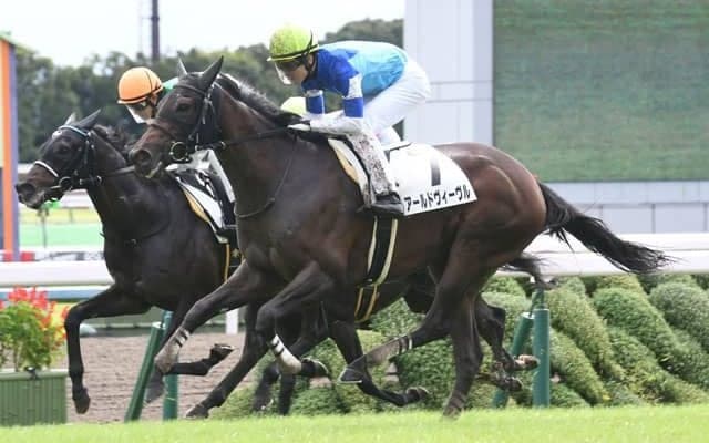 【秋華賞】アールドヴィーヴル今野師「どういう状況でもラストでは強い気持ちで伸びる」/ねぇさんのトレセン密着