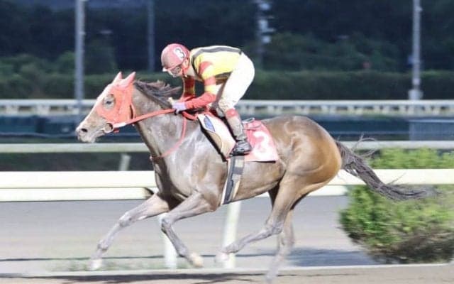 【高知・ミラク特別】ペイシャクレア快勝