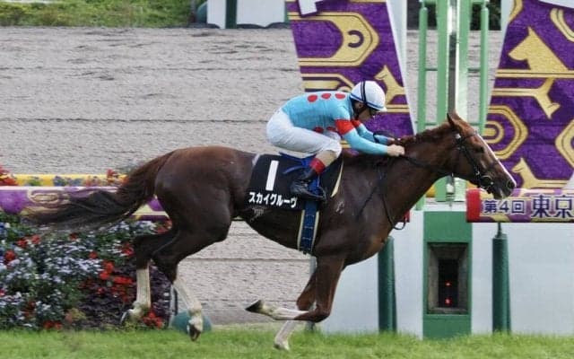 【白秋S】スカイグルーヴが2勝目