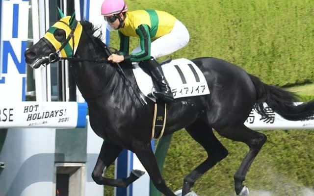 JRA初戦も難なく突破！大井から移籍の3歳牝馬ディアノイアがデビュー3連勝