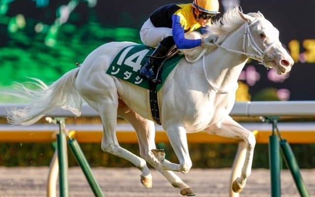 【本日の注目ポイント】阪神で牝馬三冠の最終戦・秋華賞