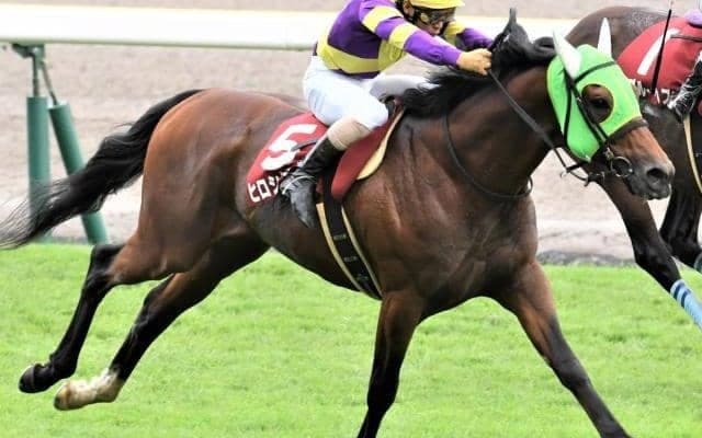 【東京ハイジャンプ予想】実績断然オジュウチョウサン、3連勝中アサクサゲンキを差し置いての期待は…