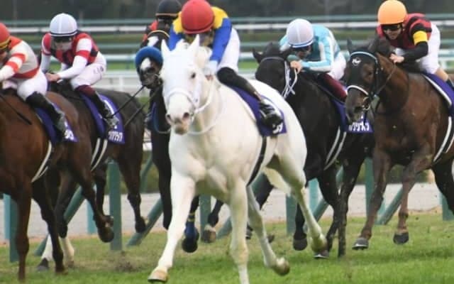 【秋華賞予想】先週はマカヒキを本命にしたAIが、今週は一転してソダシに太鼓判