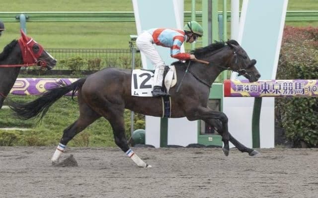 【東京4R新馬戦結果】ラニ産駒ムーヴが内から差し切りV