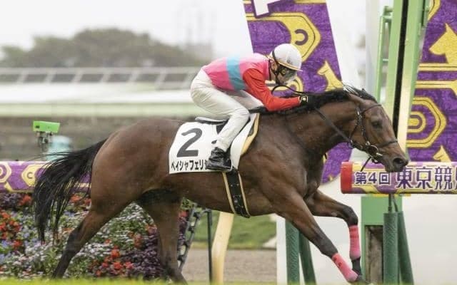 【東京5R新馬戦結果】武士沢友治騎手騎乗ペイシャフェリシテが逃げ切りV