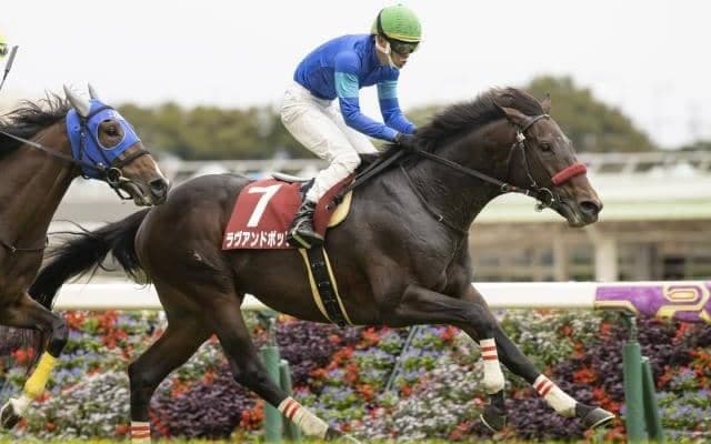 【東京ハイジャンプ結果】ラヴアンドポップが1年4か月ぶりの休み明けを制す、オジュウチョウサンは3着