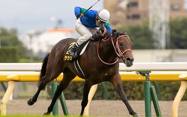 【オクトーバーS結果】パンサラッサが大逃げ決めてオープン初V