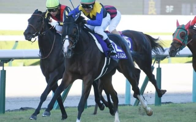 【秋華賞】アカイトリノムスメが最後の一冠で親子制覇！白毛ソダシは10着に敗れる