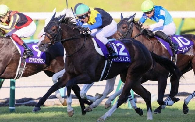 【秋華賞】超良血アカイトリノムスメが抜け出してG1初制覇！ソダシは敗れる