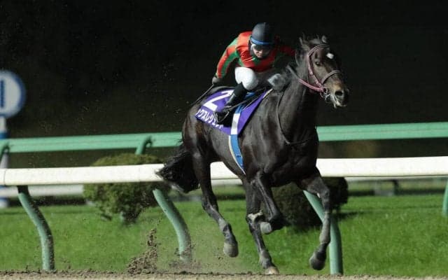 【盛岡・知床賞】マックスレジェンドがリュウノガルシアの猛追を振り切って重賞初制覇！