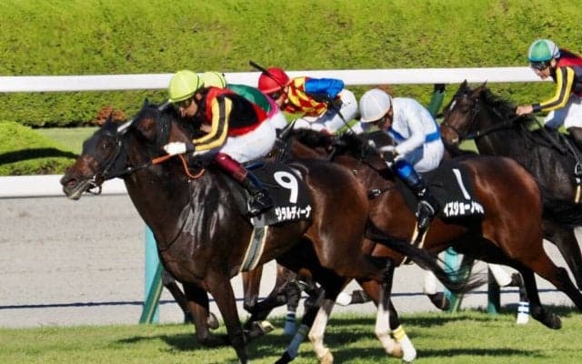 【西宮S】良血ジェラルディーナが3連勝を決める