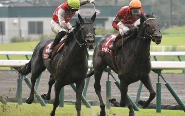 牡馬クラシック最終戦の菊花賞とマイルCS前哨戦の富士S/今週の競馬界の見どころ