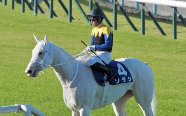 【秋華賞】吉田隼「申し訳ない気持ちです」レース後ジョッキーコメント