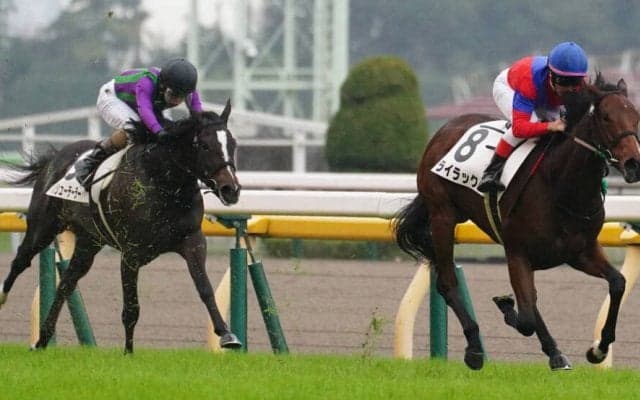 【新馬/東京5R】オルフェーヴル産駒 ライラックがデビューV