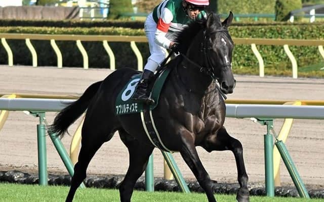 【先週のJRA抹消馬】ダービー馬レイデオロの半弟アブソルティスモ、銀蹄Sを制したロードグラディオなど