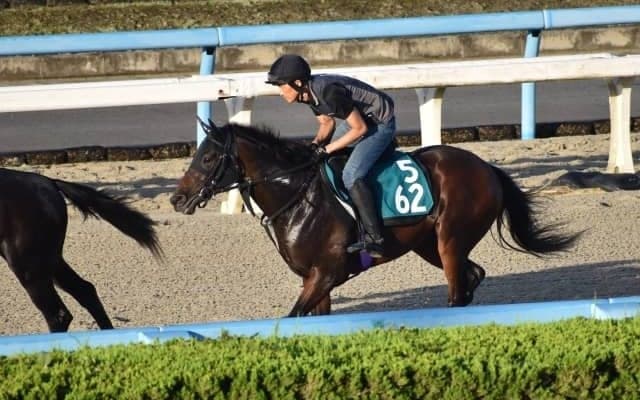 鳴尾記念を制したストロングタイタンの半弟リアドが福永祐一騎手でデビュー/関西馬メイクデビュー情報