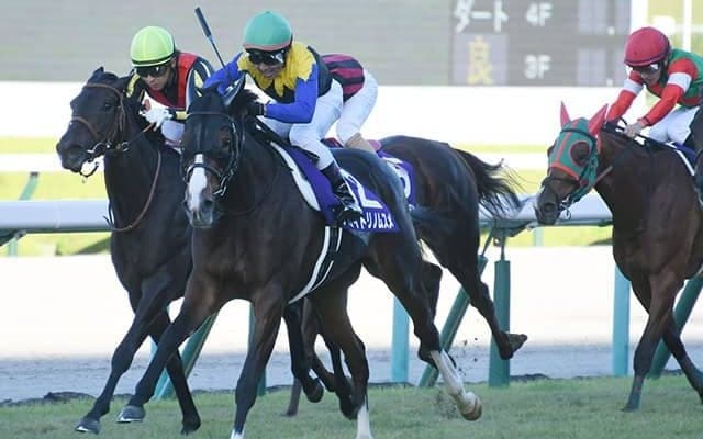 母アパパネは引退までに50kg増　古馬になってからも楽しみなアカイトリノムスメ