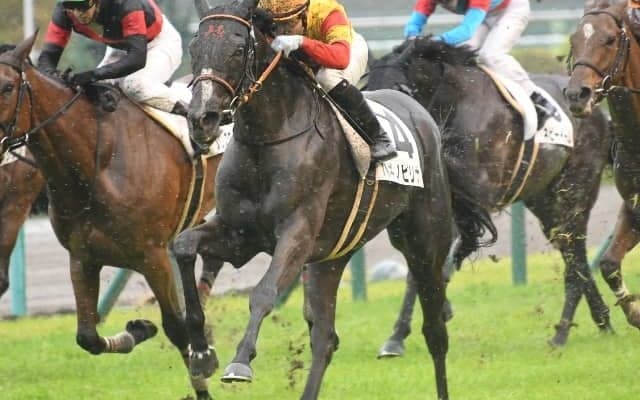 【菊花賞予想】AI予想が乱戦・菊花賞の狙い馬をズバリ！ 取り上げたのは超人気薄のキズナ産駒？