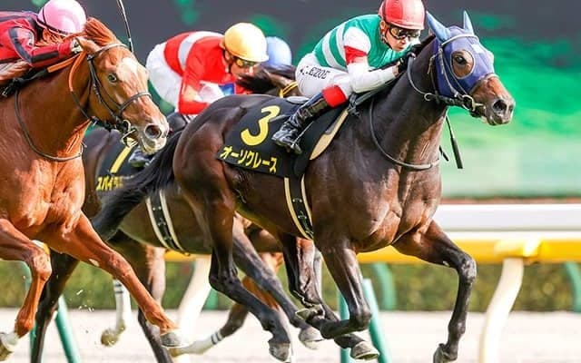 「非凡な長距離適性を伝えている」菊花賞ではエピファネイア産駒にも注目