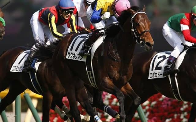 【富士S 注目馬】初マイル戦に挑む2018年ダービー馬　先輩マカヒキに続き復活なるか