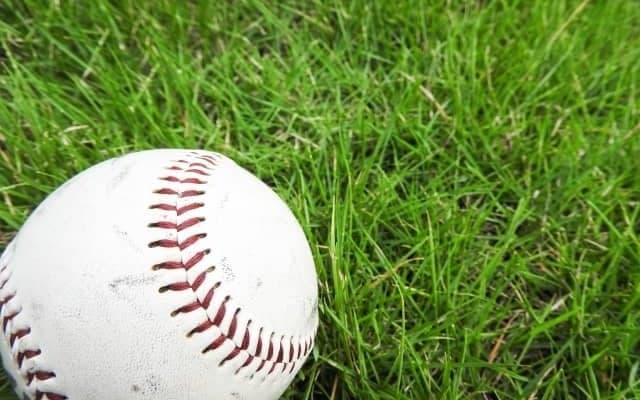 【プロ野球／今週の注目打者】好調のヤクルト・サンタナにビジターに強い　優勝に向けてデータで見る得意な球場とは