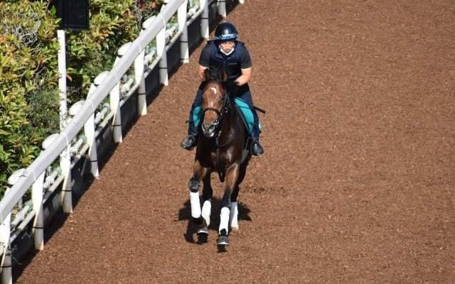 ローズクレストなど、先週のゲート試験/栗東トレセンニュース