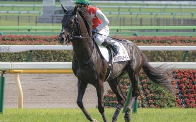 【菊花賞予想オッズ】ステラヴェローチェが予想1番人気、オーソクレースが続く