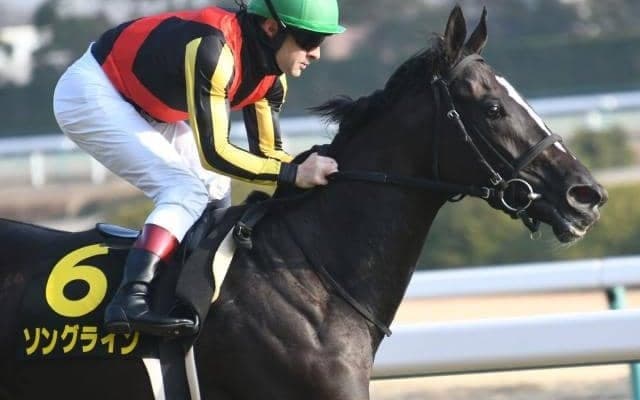 【富士S予想オッズ】3歳牝馬ソングラインが予想1番人気