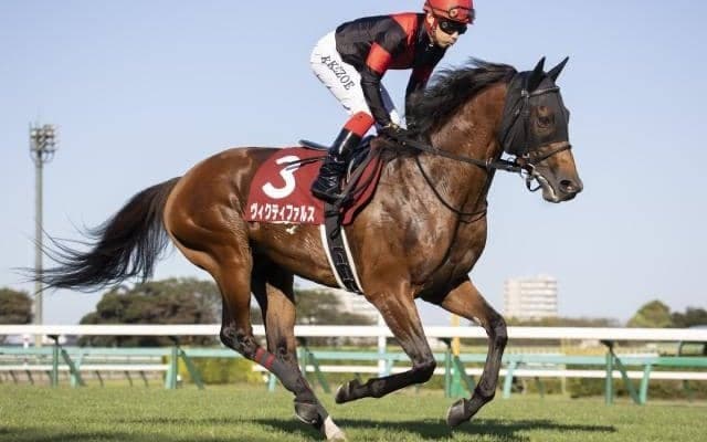 【菊花賞展望】阪神で行われるクラシック最終戦、好走の条件とは