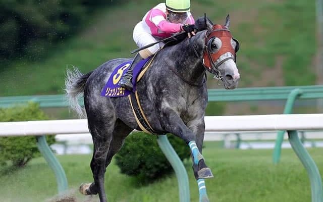 ダート競馬の祭典・JBC　出走馬の選定方法に一考の余地あり