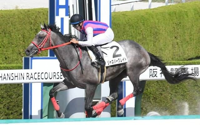 森厩舎2頭が追加で参戦表明　見どころ続々の米G1・ブリーダーズC/合田直弘
