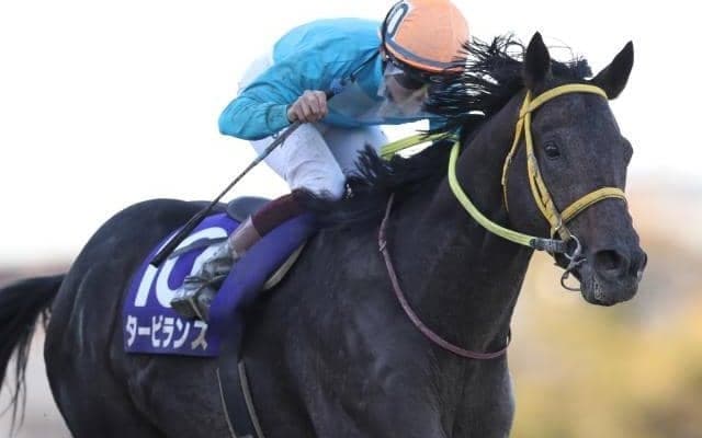 【浦和・埼玉新聞栄冠賞】連覇のタービランス笹川翼騎手「交流重賞でもやれる力があると再認識しました」